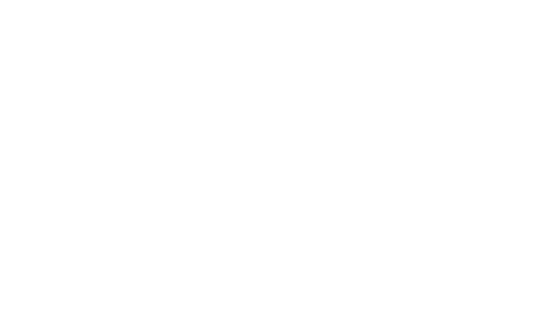 DICA33