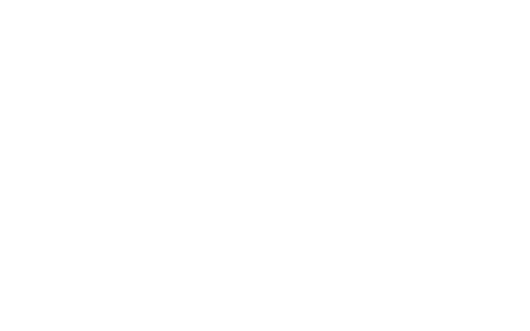 FAPAV