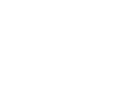 HOTEL DE RUSSIE