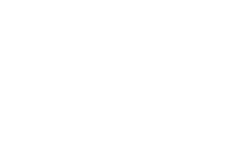 IL PENSIERO SCIENTIFICO