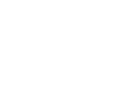 IRENE FORTE SPA