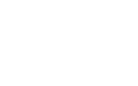 LUTHER SRL