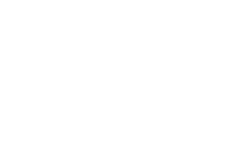 ROBERTO NALDI