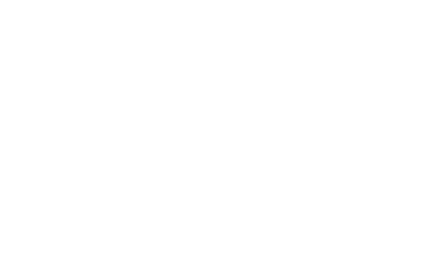 ROCCO FORTE HOTEL