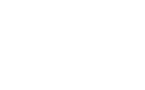 THE CARLTON