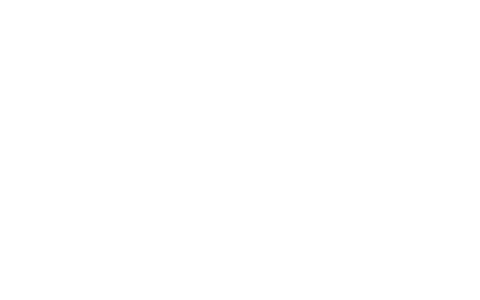 THE FIRST