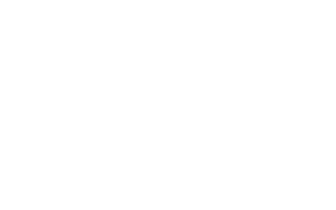 THE GUARDIAN