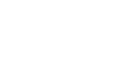 THE INDEPENDENT