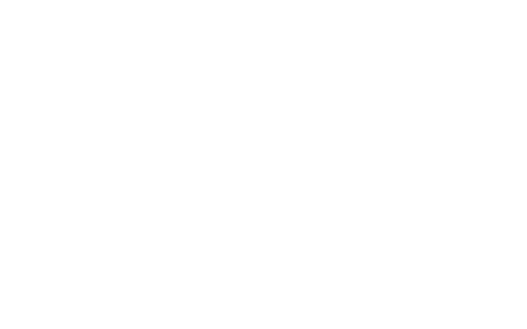 THE REPUBLIC