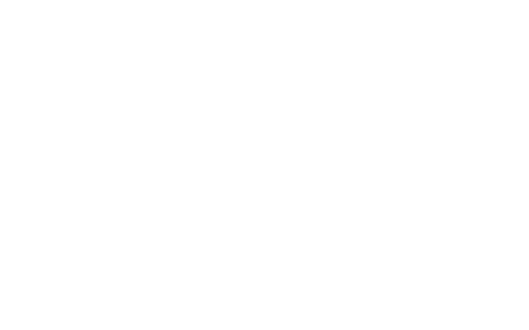 THE STYLE
