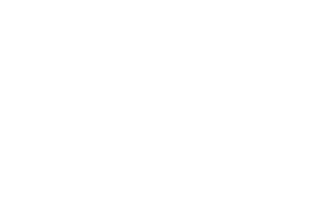 THE TRIBUNE