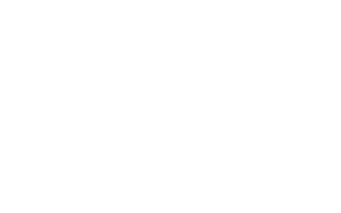 VELO
